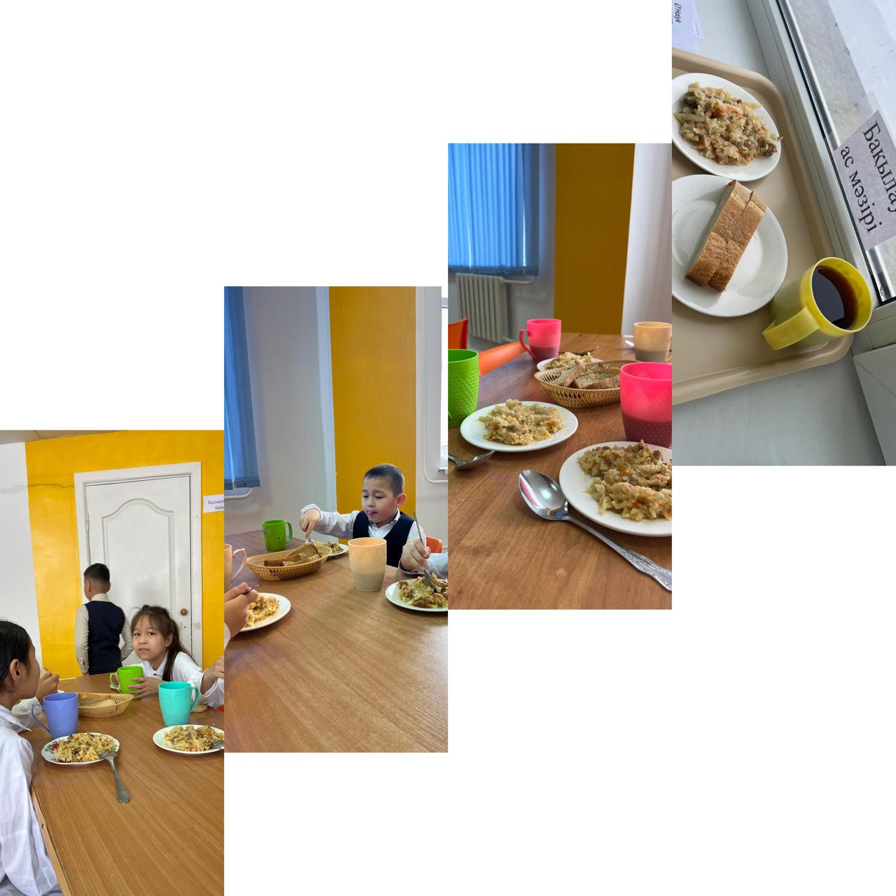 WhatsApp Image 2026 02 17 at 101355