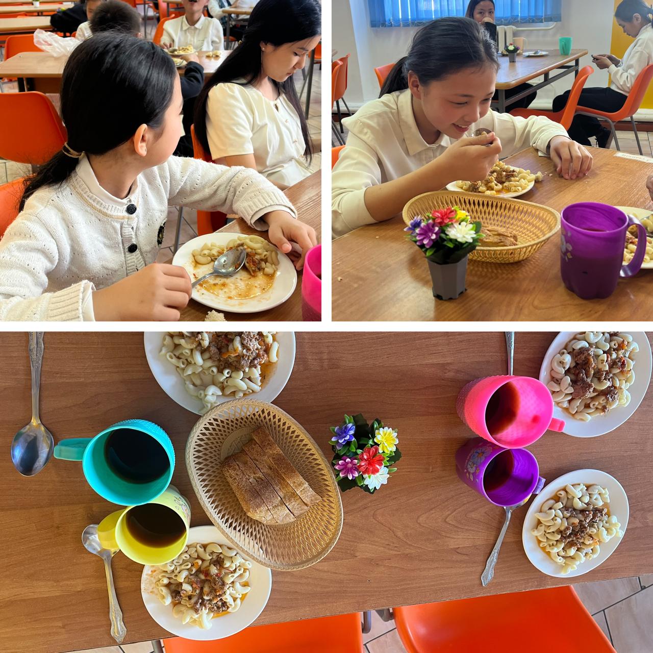 WhatsApp Image 2026 04 06 at 111833